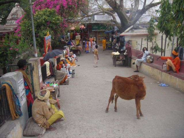 this is a little beagerstreet you have to pass to get from one part to the other in Rishikesh